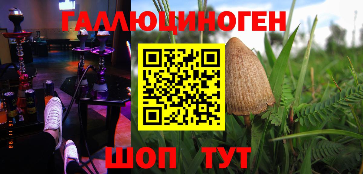 Галлюциногенные грибы прущие грибы Лабытнанги